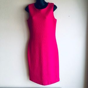 Hot Pink Sheath Dress